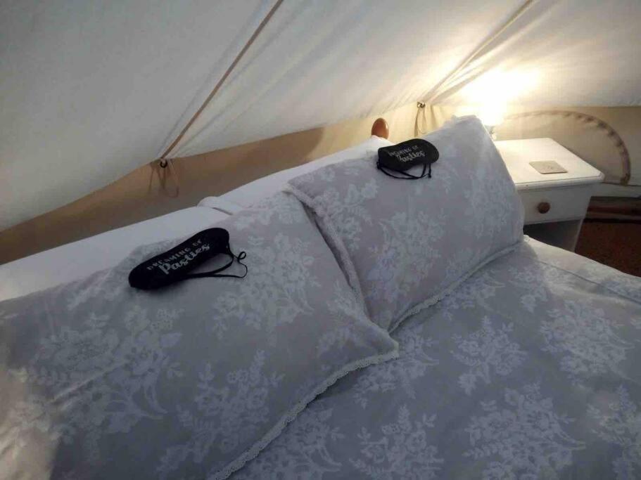 Cox Hill Glamping Badger Hotel Труро Екстериор снимка